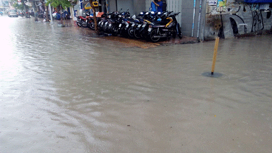 Downpour hits HCMC ảnh 1