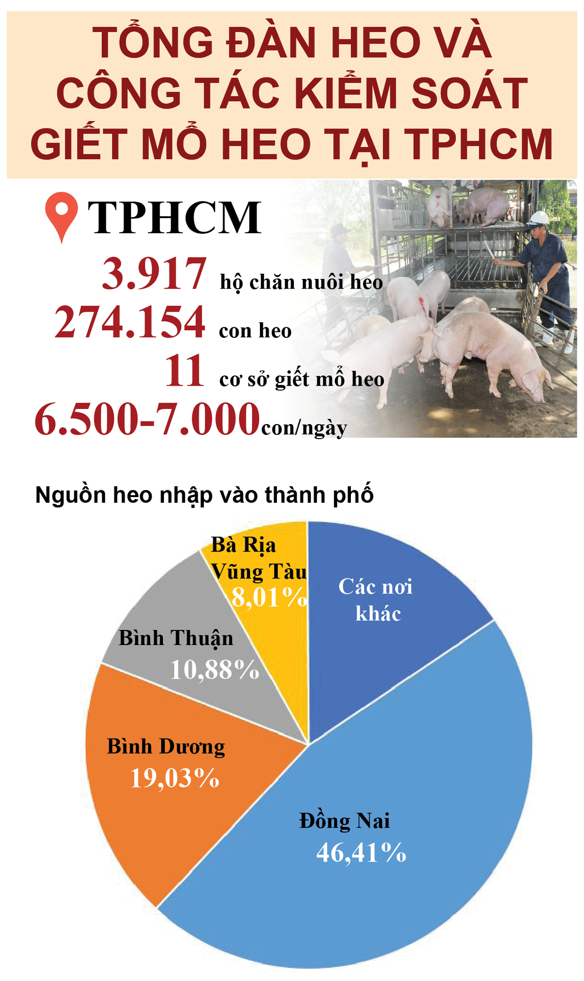 TPHCM kiểm soát giết mổ lậu, chăn nuôi nhỏ lẻ để phòng, chống dịch tả heo Châu Phi ảnh 4